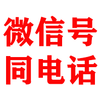 临武金典追债公司